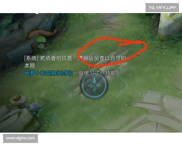 《王者荣耀鹰眼护卫队必备技巧与加入指南全解析》 《王者荣耀鹰眼护卫队必备技巧与加入指南全解析》