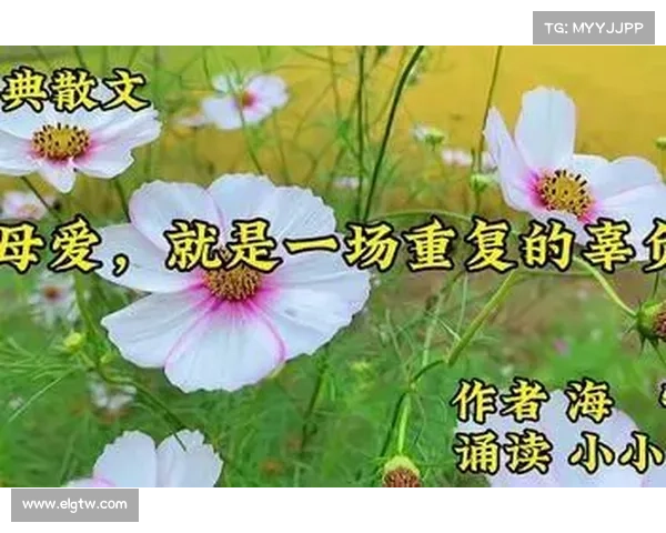 冰心诗文中的母爱温情与人性光辉五大主题探索与深刻阐述 冰心诗文中的母爱温情与人性光辉五大主题探索与深刻阐述