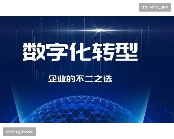 数字化转型与创新助力青云发展双重益处提升企业竞争力 数字化转型与创新助力青云发展双重益处提升企业竞争力