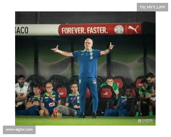 巴西联赛新任教练战术理念分析与球队适应性探讨