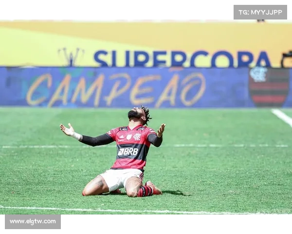 弗拉门戈在超级杯中的战术调整与比赛表现深度评估与总结 弗拉门戈在超级杯中的战术调整与比赛表现深度评估与总结